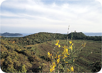 Maremma di Grosseto